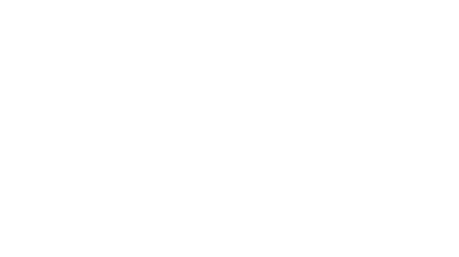 The Duo Logo white